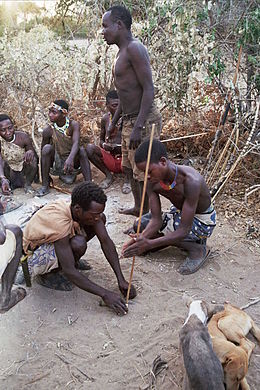 Hadzabe3.jpg